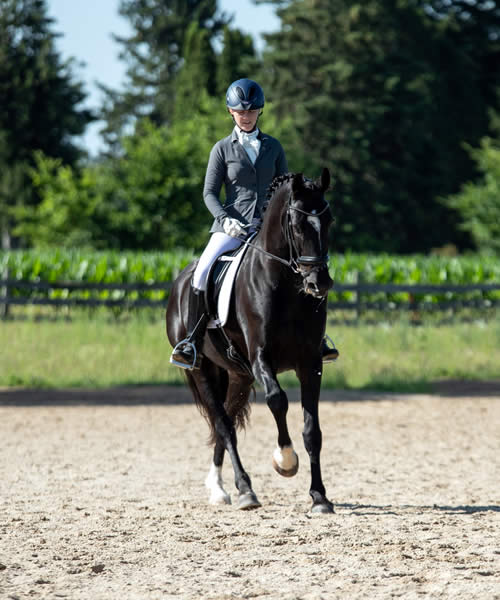 Frequently asked Questions - New Dressage Association Wisconsin